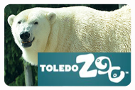 toledo zoo